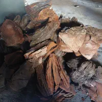 سنگ اکواریوم