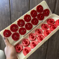 ژتون ژانومه