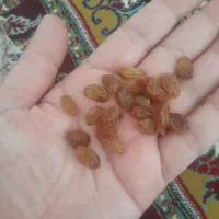 کشمش اشغاری اماده خوردن|خوردنی و آشامیدنی|شیروان (خراسان), |دیوار