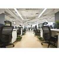 دعوت به همکاری نیروی خانم