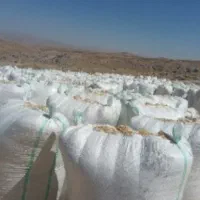 کاه لوبیاچیتی 70روزه خوب اماده