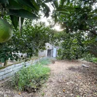 ویلا 420متری سندار جاده آمل به فریدونکنار|فروش خانه و ویلا|دابودشت, |دیوار