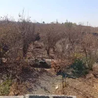 باغ چهاردیواری