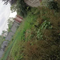 زمین مسکونی بهترین جا|فروش زمین و ملک کلنگی|املش, |دیوار