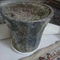 ‌گلدان|گل و گیاه طبیعی|تهران, خزانه|دیوار