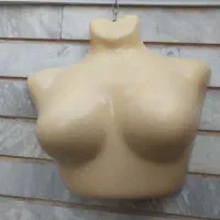 فروش فوری تعداد متنوعی مانکن|فروشگاه و مغازه|کرج, شاهینویلا|دیوار