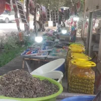 دکه باغ در حیران