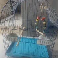فروش قفس پرنده