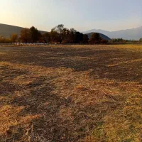 ملک آبی|فروش زمین و ملک کلنگی|سیلوانه, |دیوار