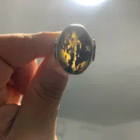 انگشتر شجر کلکسیونی