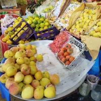 تجهیزات‌میوه‌فروشی|فروشگاه و مغازه|بروجرد, |دیوار