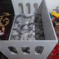تخت بچه|تخت و صندلی بچه|رامسر, |دیوار