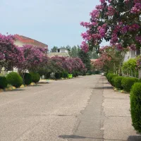 نمک آبرود /ویلا مجاورت فضای سبز