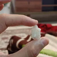 سنگ کوارتز شفاف طبیعی،مناسب تراش و کلکسیون|کلکسیون و سرگرمی|گرگان, |دیوار