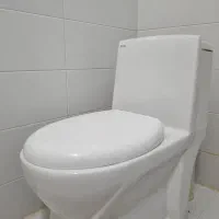 توالت فرنگی چینی کورد