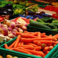 فروش عمده و خرده هویج به قیمت میدان تره بار