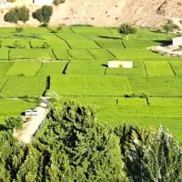 مسکن-ملی-شاهین-شهر-پردیس