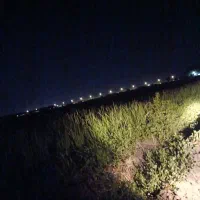 بذر شالی فروشی