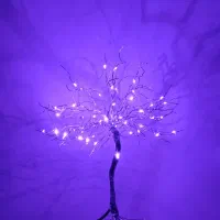 درختچه مینیاتوری|صنایع دستی و سایر لوازم تزئینی|ایرانشهر, |دیوار