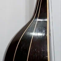 سه تار کلکسیونی استاد محمدی