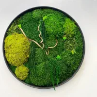 اجرای طرح دیوار سبز (خزتثبیت)