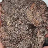 سنگهای مشکوک|کلکسیون اشیاء عتیقه|زاهدان, |دیوار