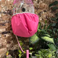 مرغ عشق با قفس شیک