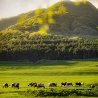 ۵۵۰ م در منطقه خوش آب و هوای کلاردشت/قابل معاوضه