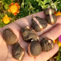 هبهاب خاص و کمیاب ومهره برد|جواهرات|بوشهر, |دیوار