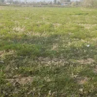 باغی ۴۲۰ متری چسبیده به طرح اوشیان|فروش زمین و ملک کلنگی|چابکسر, |دیوار