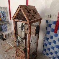 قفس پرنده