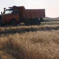 کامیون شش چرخ برای حمل گندم