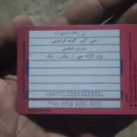 پیدا شده