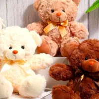 عروسک|اسباب‌بازی بچه|ملایر, |دیوار