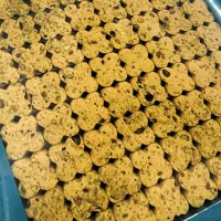 کارگر خانم جهت کار در کارگاه قنادی نیازمندیم