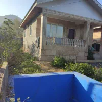 ویلا-جنگلی-استخر-دار-ویو-جنگلی