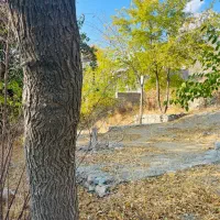 باغ و زمین ویلایی دلفارد|فروش زمین و ملک کلنگی|درب بهشت, |دیوار