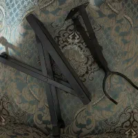 گیتار پارسی m5 نو|گیتار، بیس، امپلیفایر|نیشابور, شهرک قدس|دیوار