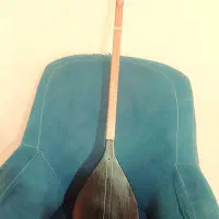 دو تار   دمبوره