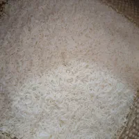 غذای آماده و اشپزی