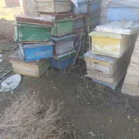 تعدای جعبه کندو