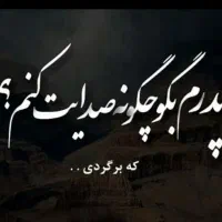 ضامن فوری فوری