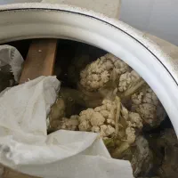 مقدار 3تن گل کلم (اب نمکی)