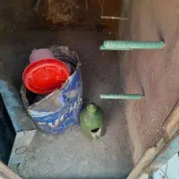 گنجه اهنی۱۲۰در۱۲۰هرطرفش