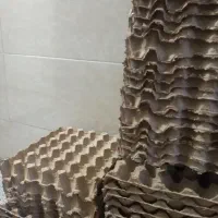 شانه تخم مرغ