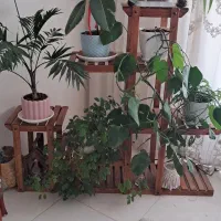 استند چوب دست ساز کاملا سالم و تمیز و محکم