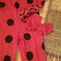 کفشدوزک وگربه سیاه