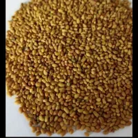 کسانی که دنبال پابلند هستن در خدمتم خارجی اصل