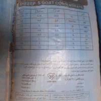 خوراک دام پلیت