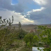 کارگر باغ دایمی